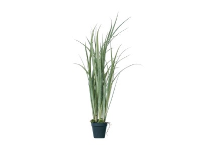 BROWN Yucca Rostrata Pot / ブラウン ユッカ ロストラータ ポット 91