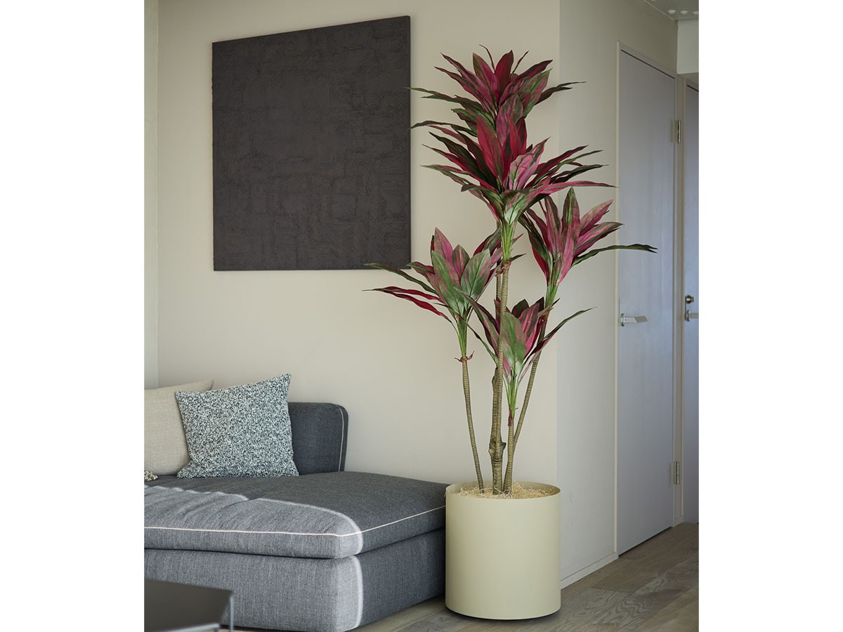 BROWN Dracaena Pot Purple / ブラウン ドラセナ ポット 180 パープル （花器・プランター・グリーン > フェイクグリーン・フェイクフラワー） 2