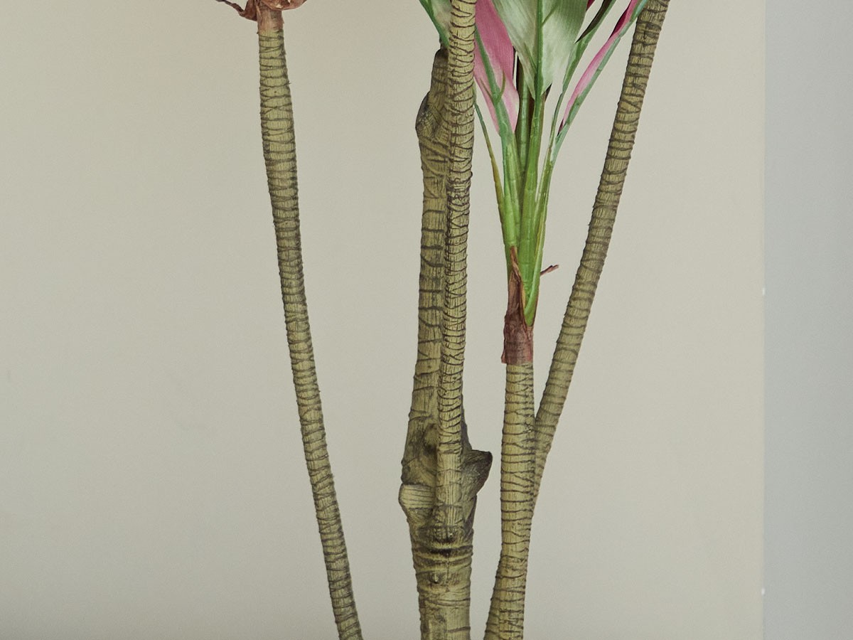 BROWN Dracaena Pot Purple / ブラウン ドラセナ ポット 180 パープル （花器・プランター・グリーン > フェイクグリーン・フェイクフラワー） 6