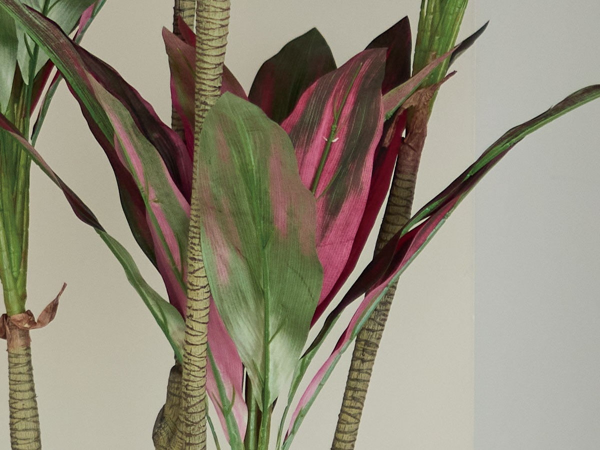 BROWN Dracaena Pot Purple / ブラウン ドラセナ ポット 180 パープル （花器・プランター・グリーン > フェイクグリーン・フェイクフラワー） 5