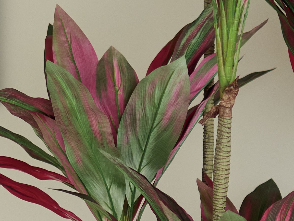 BROWN Dracaena Pot Purple / ブラウン ドラセナ ポット 180 パープル （花器・プランター・グリーン > フェイクグリーン・フェイクフラワー） 4