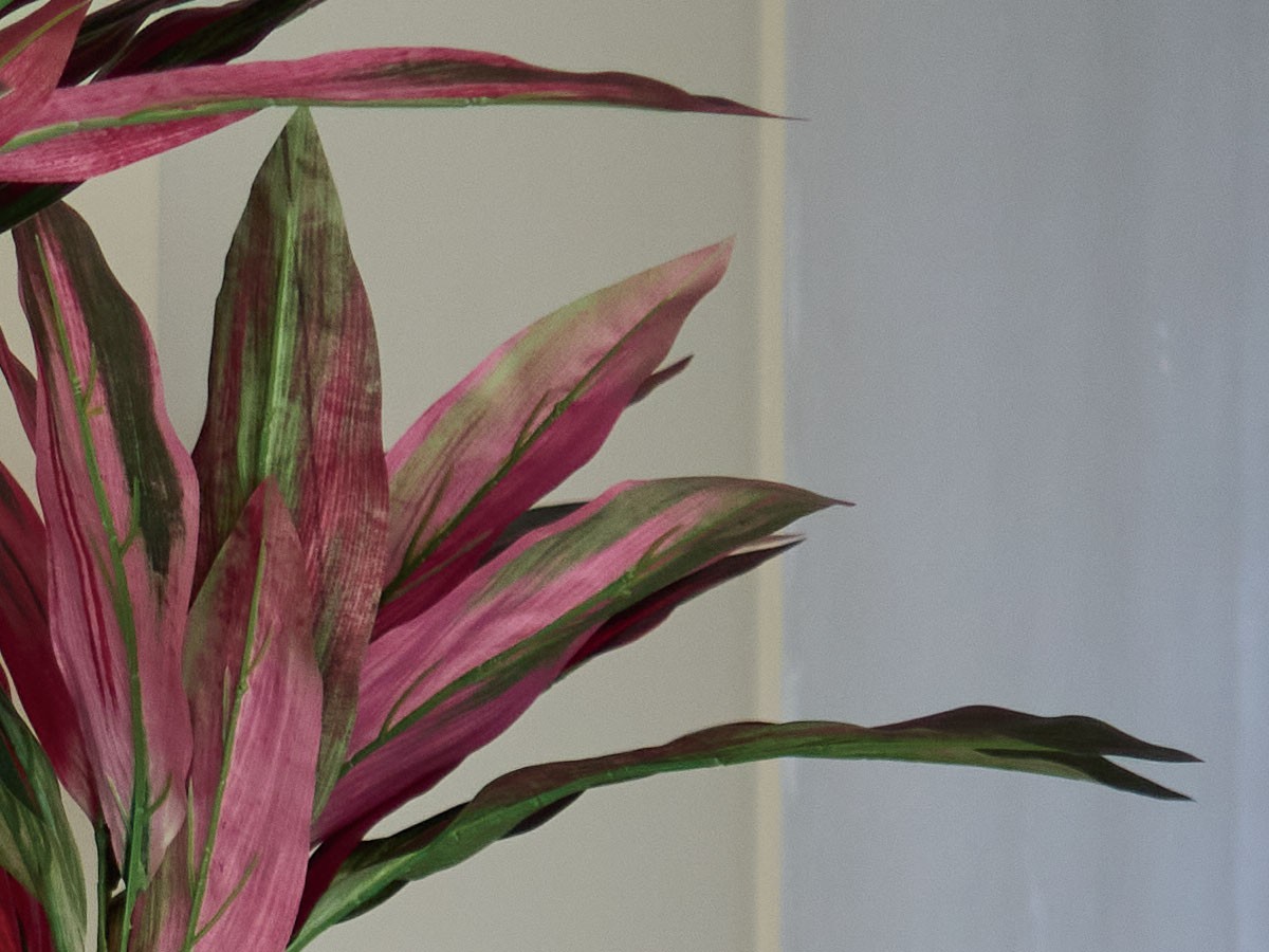 BROWN Dracaena Pot Purple / ブラウン ドラセナ ポット 180 パープル （花器・プランター・グリーン > フェイクグリーン・フェイクフラワー） 3