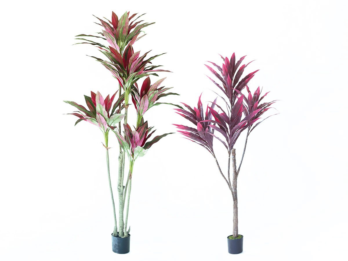 BROWN Dracaena Pot Purple / ブラウン ドラセナ ポット 180 パープル （花器・プランター・グリーン > フェイクグリーン・フェイクフラワー） 7