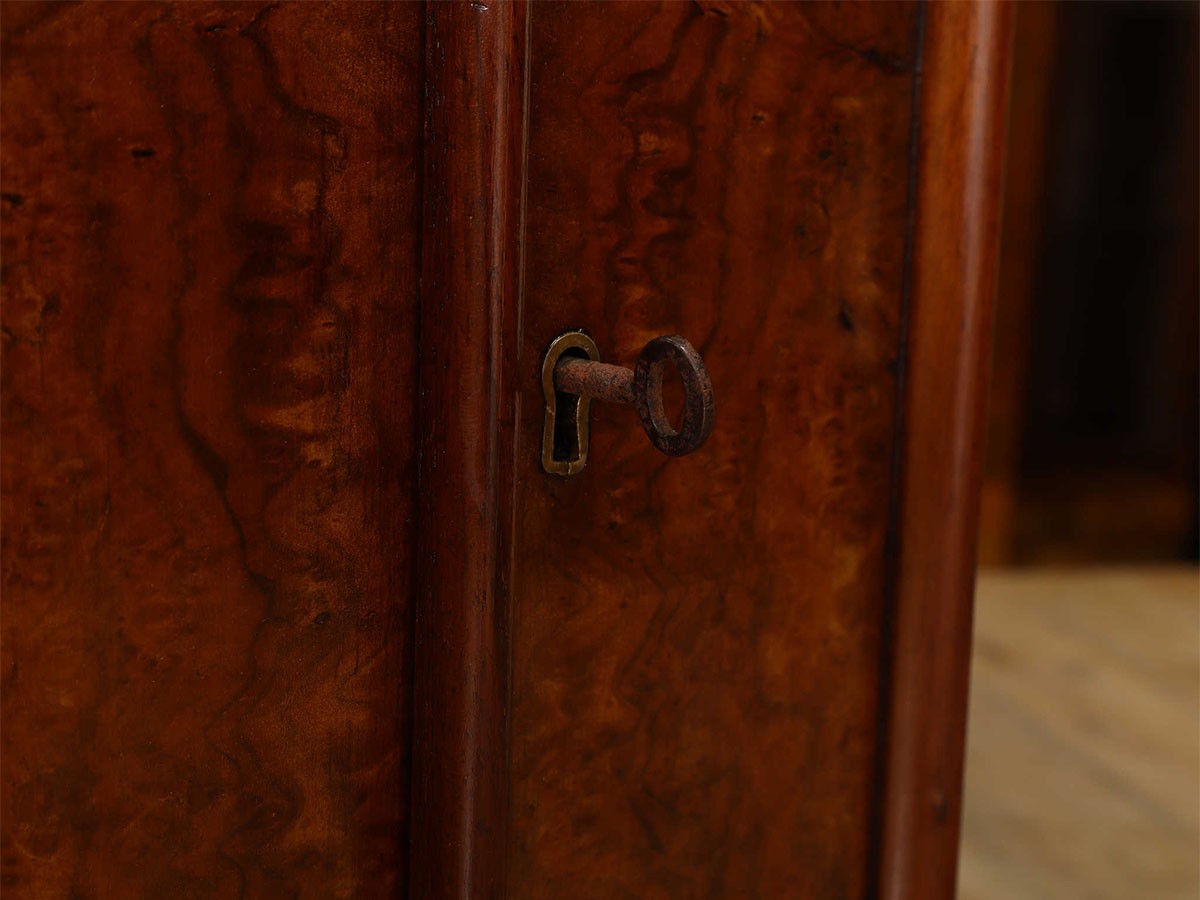 Lloyd's Antiques Real Antique
Victorian Chiffonier / ロイズ・アンティークス 英国アンティーク家具
ヴィクトリアンシフォネア （ミラー・ドレッサー > ドレッサー・鏡台） 15
