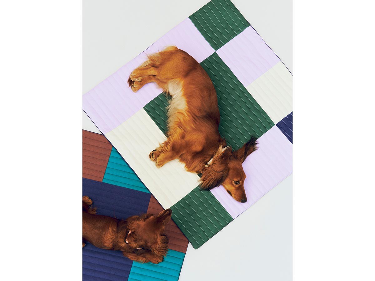 HAY HAY DOGS BY HOLLY GOLIGHTLY
DOGS TRAVEL BLANKET / ヘイ ヘイ ドッグ コレクション
ドッグトラベルブランケット （インテリア雑貨 > ペット用品） 5