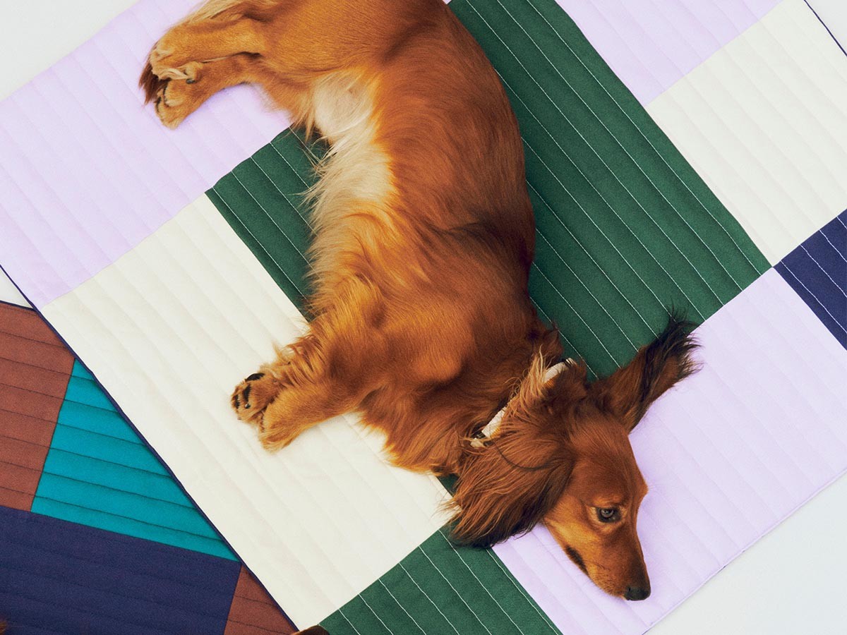 HAY HAY DOGS BY HOLLY GOLIGHTLY
DOGS TRAVEL BLANKET / ヘイ ヘイ ドッグ コレクション
ドッグトラベルブランケット （インテリア雑貨 > ペット用品） 6