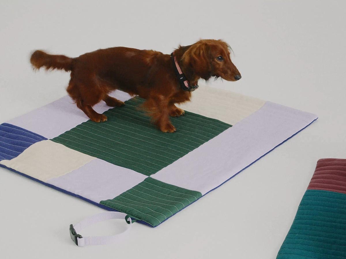 HAY HAY DOGS BY HOLLY GOLIGHTLY
DOGS TRAVEL BLANKET / ヘイ ヘイ ドッグ コレクション
ドッグトラベルブランケット （インテリア雑貨 > ペット用品） 9