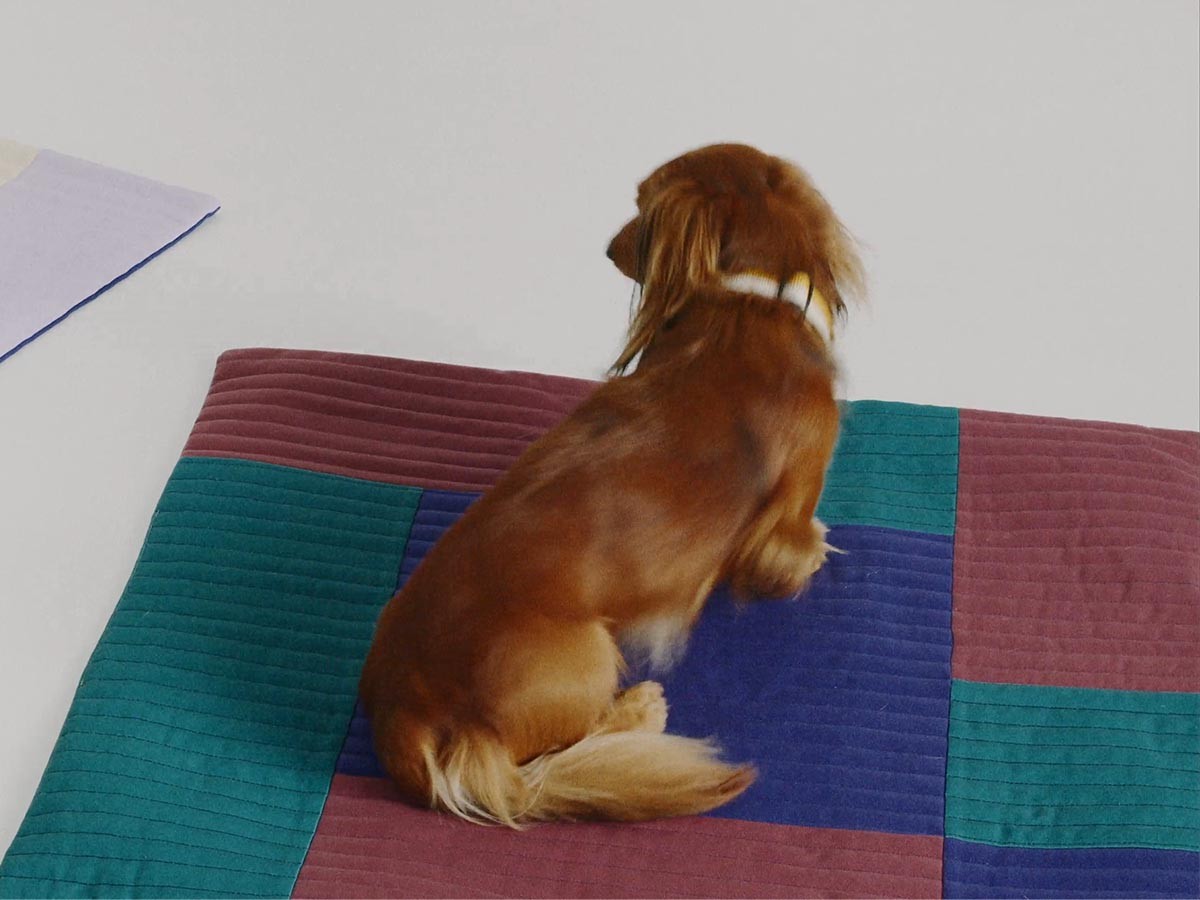 HAY HAY DOGS BY HOLLY GOLIGHTLY
DOGS TRAVEL BLANKET / ヘイ ヘイ ドッグ コレクション
ドッグトラベルブランケット （インテリア雑貨 > ペット用品） 10