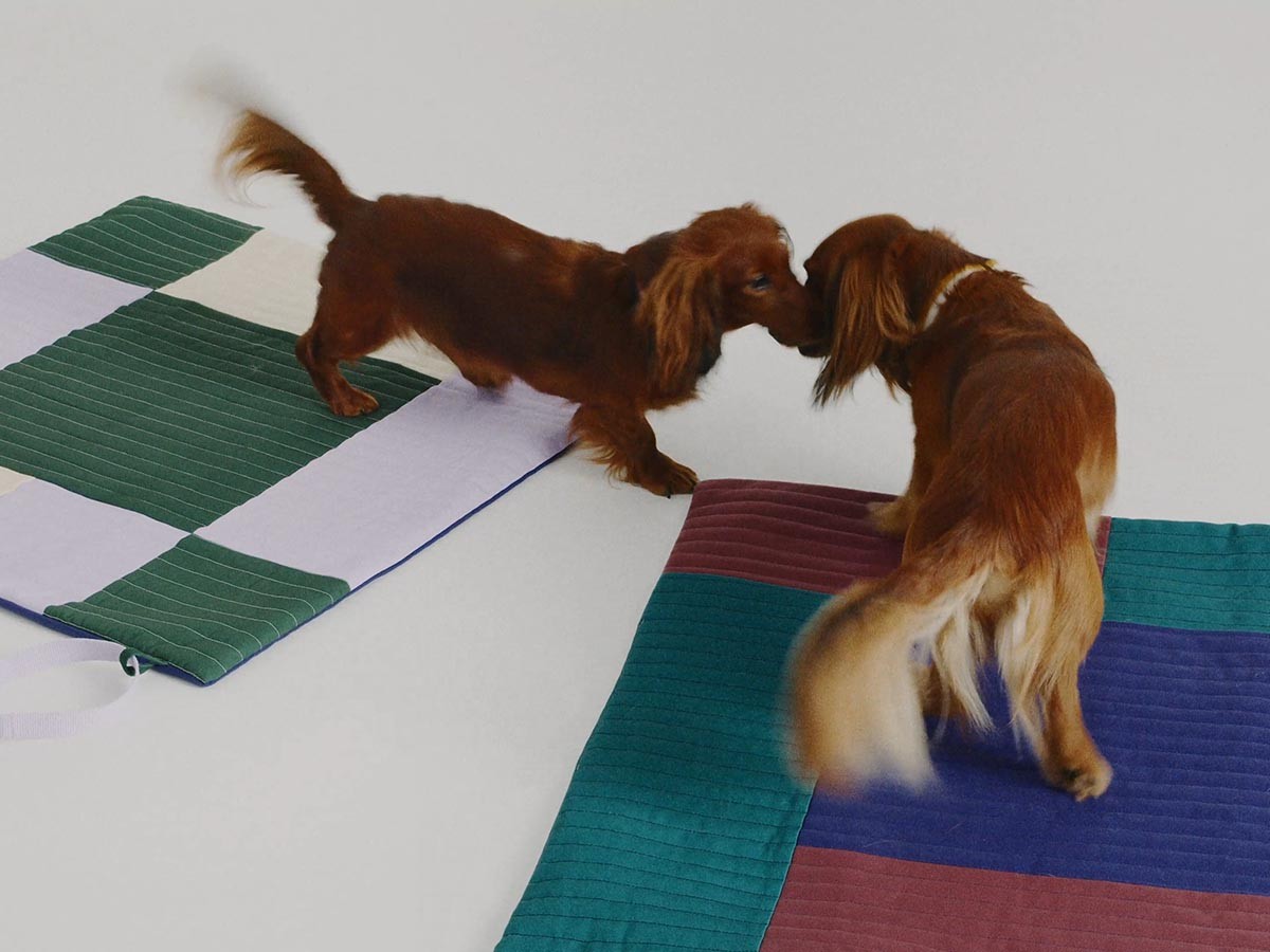 HAY HAY DOGS BY HOLLY GOLIGHTLY
DOGS TRAVEL BLANKET / ヘイ ヘイ ドッグ コレクション
ドッグトラベルブランケット （インテリア雑貨 > ペット用品） 8