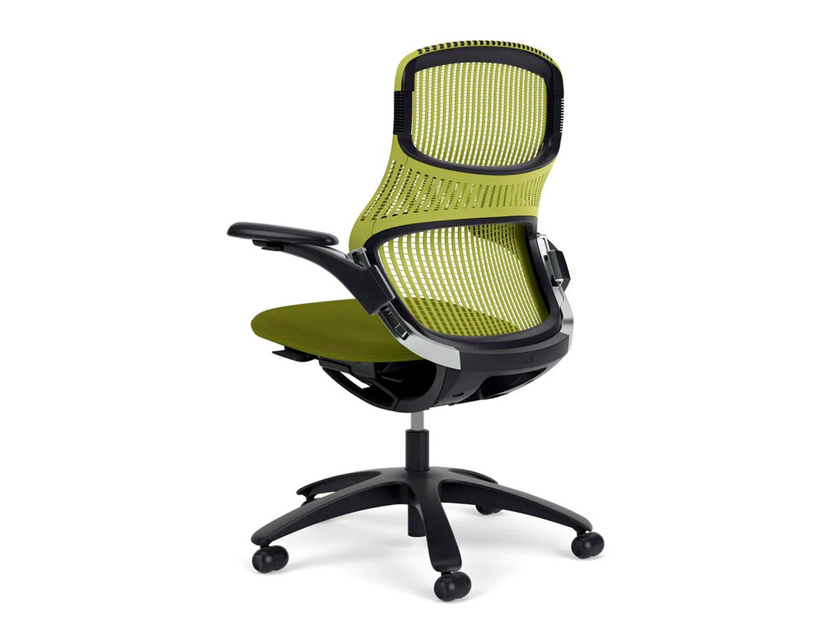 Knoll Office Generation Chair / ノルオフィス ジェネレーション チェア ハイパフォーマンス肘 （チェア・椅子 > オフィスチェア・デスクチェア） 119