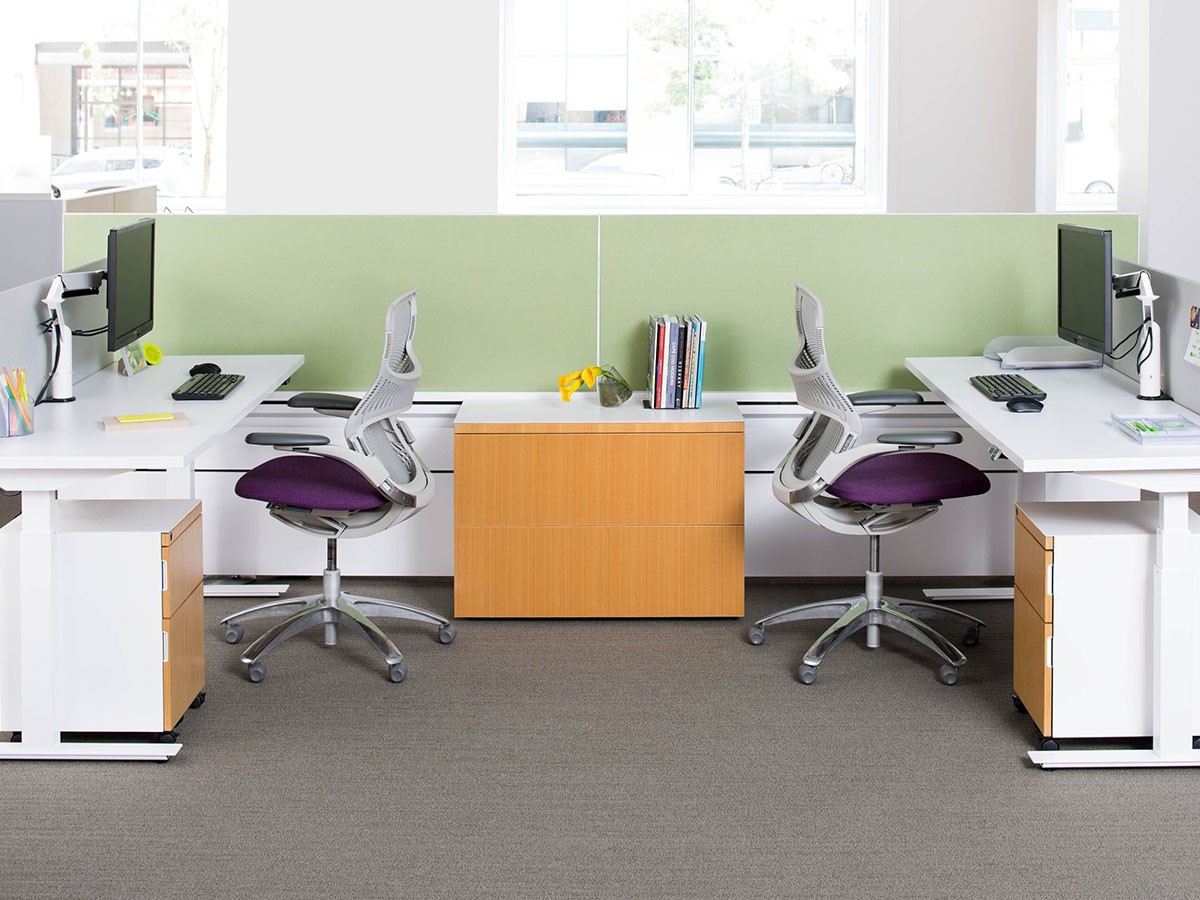 Knoll Office Generation Chair / ノルオフィス ジェネレーション チェア ハイパフォーマンス肘 （チェア・椅子 > オフィスチェア・デスクチェア） 65
