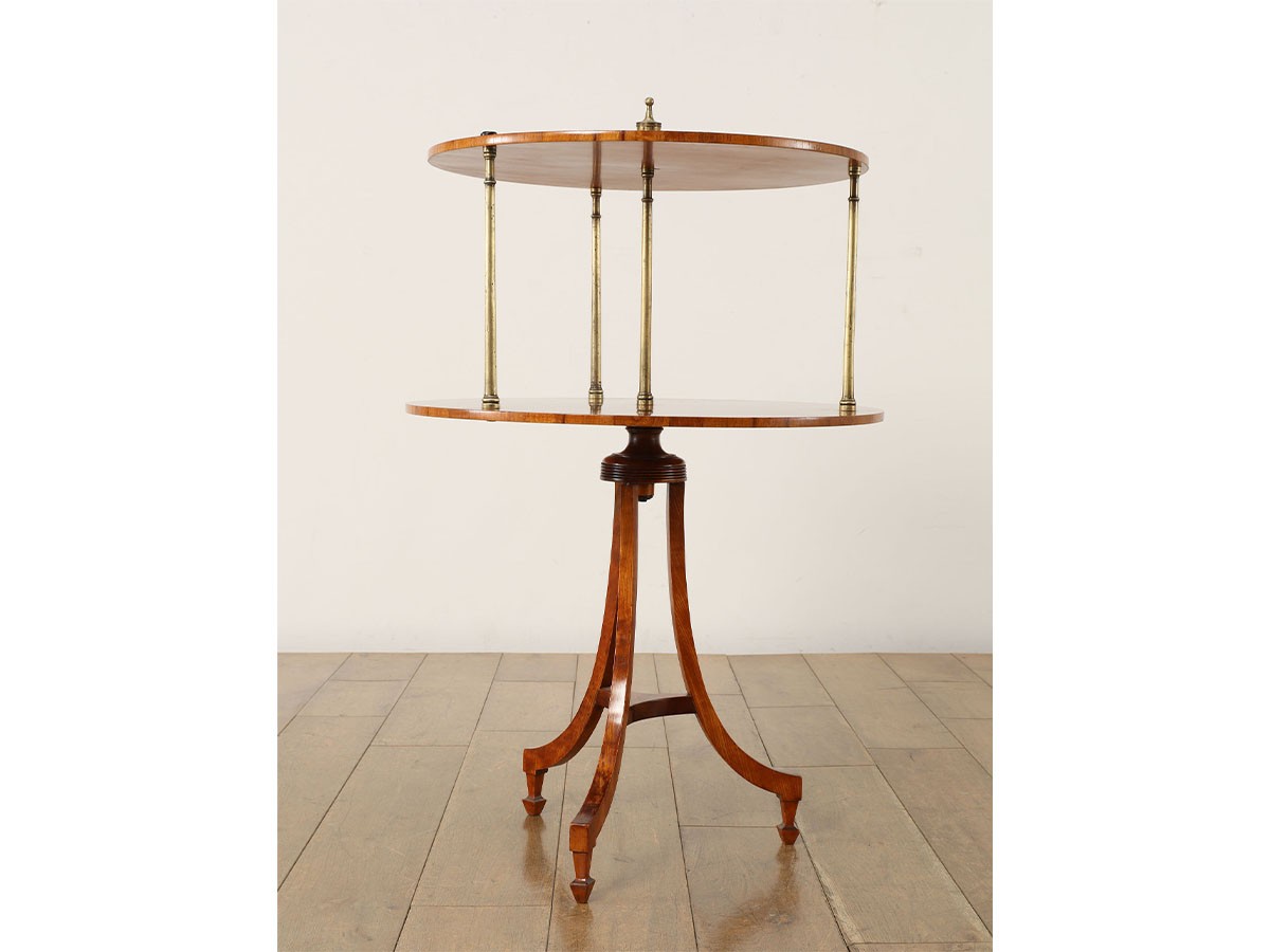 Lloyd's Antiques Real Antique
Regency Dumbwaiter / ロイズ・アンティークス 英国アンティーク家具
リージェンシーダムウェイター （テーブル > サイドテーブル） 4