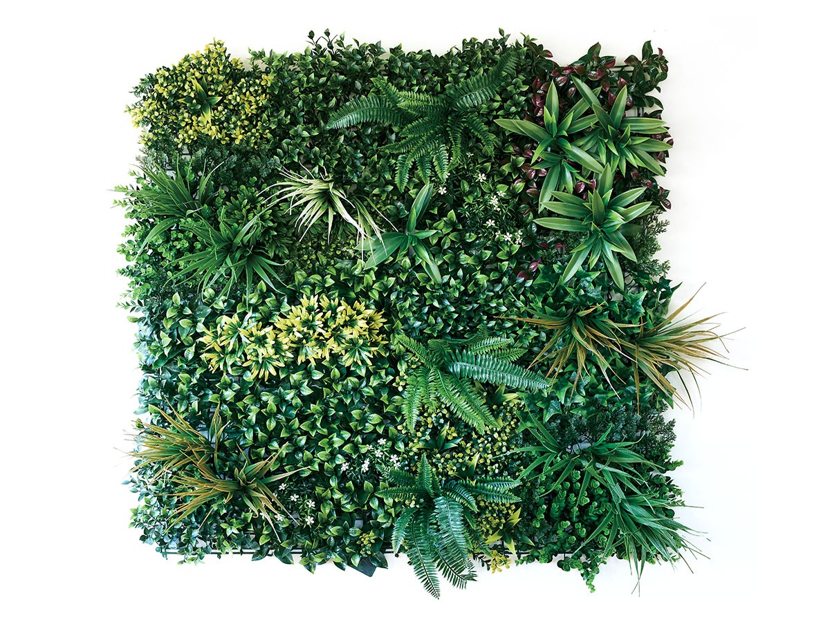 BROWN Green Wall