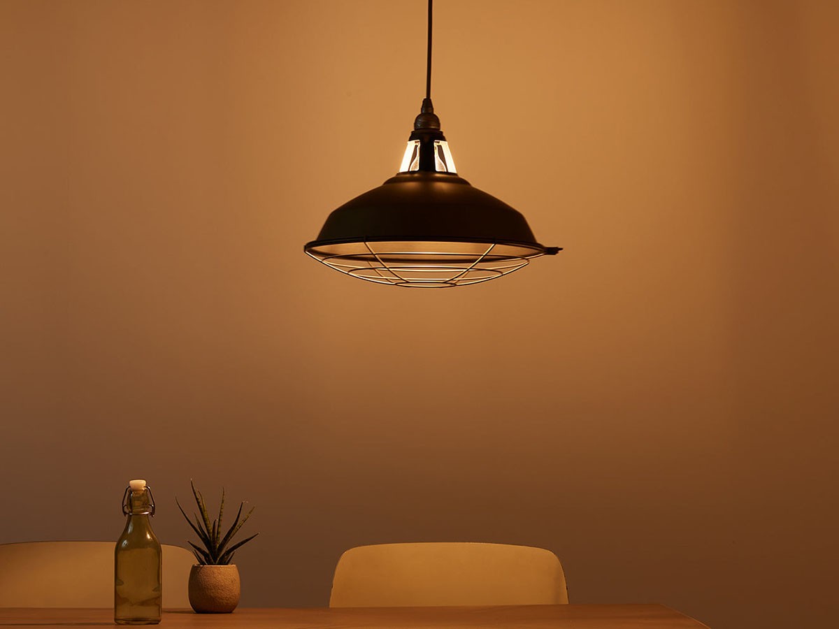 FLYMEe Factory Pendant Light L / フライミーファクトリー ペンダント