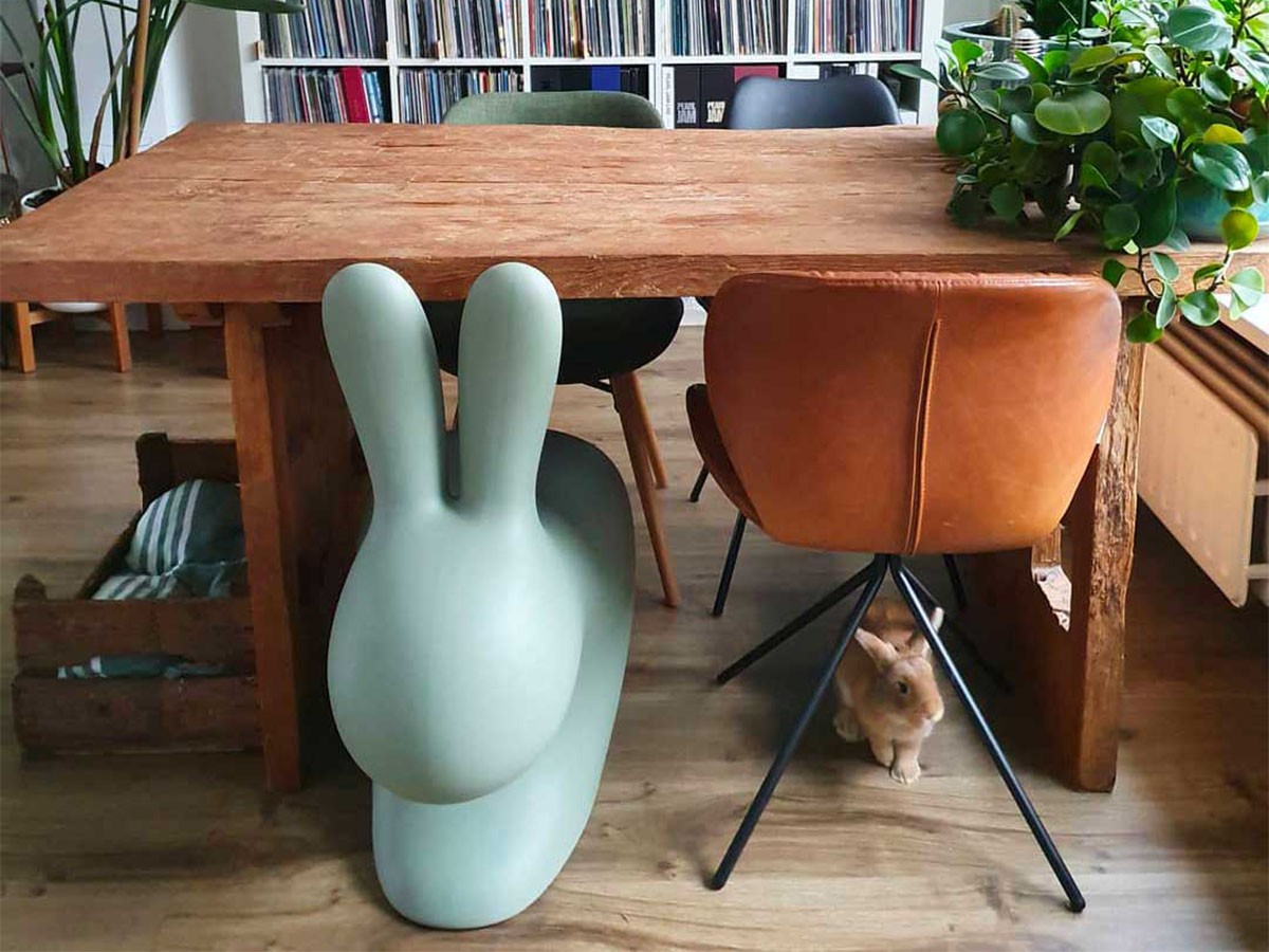 Qeeboo Rabbit Chair / キーブー ラビットチェア （チェア・椅子 > ダイニングチェア） 13