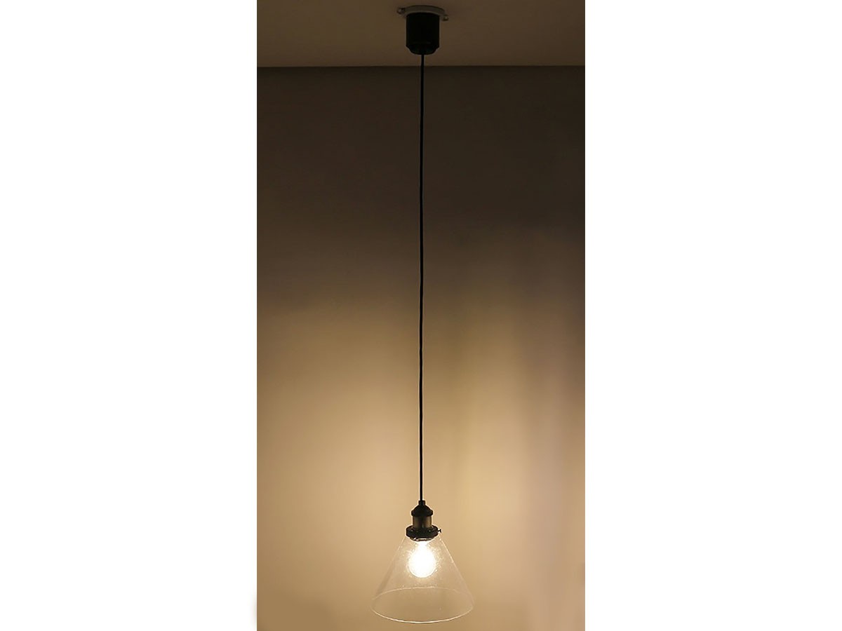 Pendant Light / ペンダントライト #112934 （ライト・照明 > ペンダントライト） 3