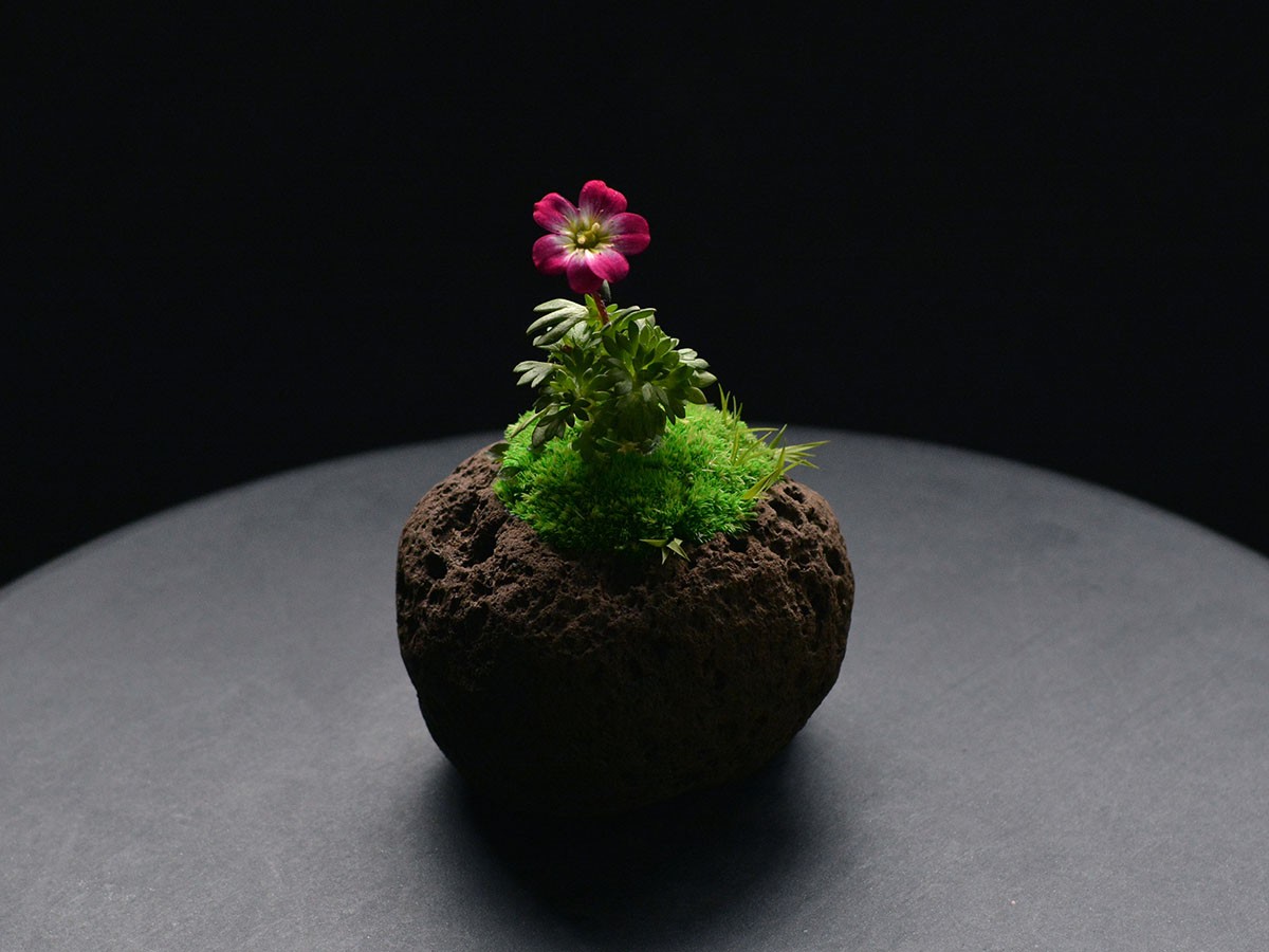 雨 時山 - tokiyama - / あめ 時山 浮石 小 （花器・プランター・グリーン > 花瓶・フラワーベース） 4