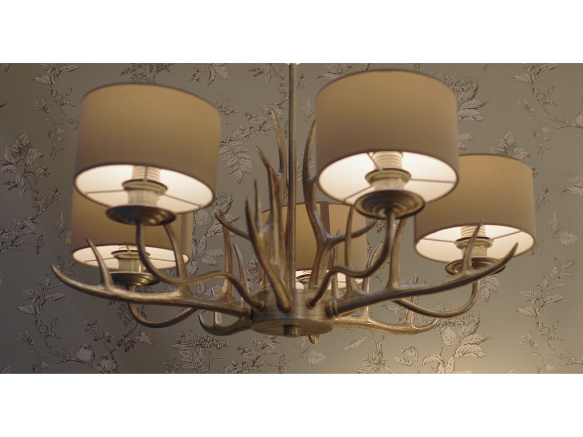 LAURA ASHLEY Chandelier / ローラ アシュレイ 5灯シャンデリア GCH007-5 （ライト・照明 > シャンデリア） 8