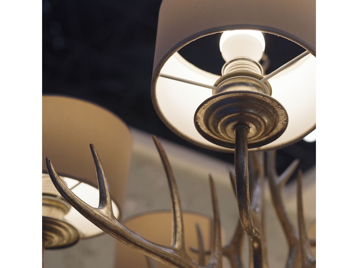 LAURA ASHLEY Chandelier / ローラ アシュレイ 5灯シャンデリア GCH007-5 （ライト・照明 > シャンデリア） 9