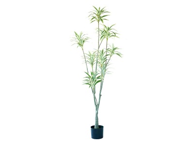 BROWN Cycad Pot / ブラウン ソテツ ポット 86 - インテリア・家具通販