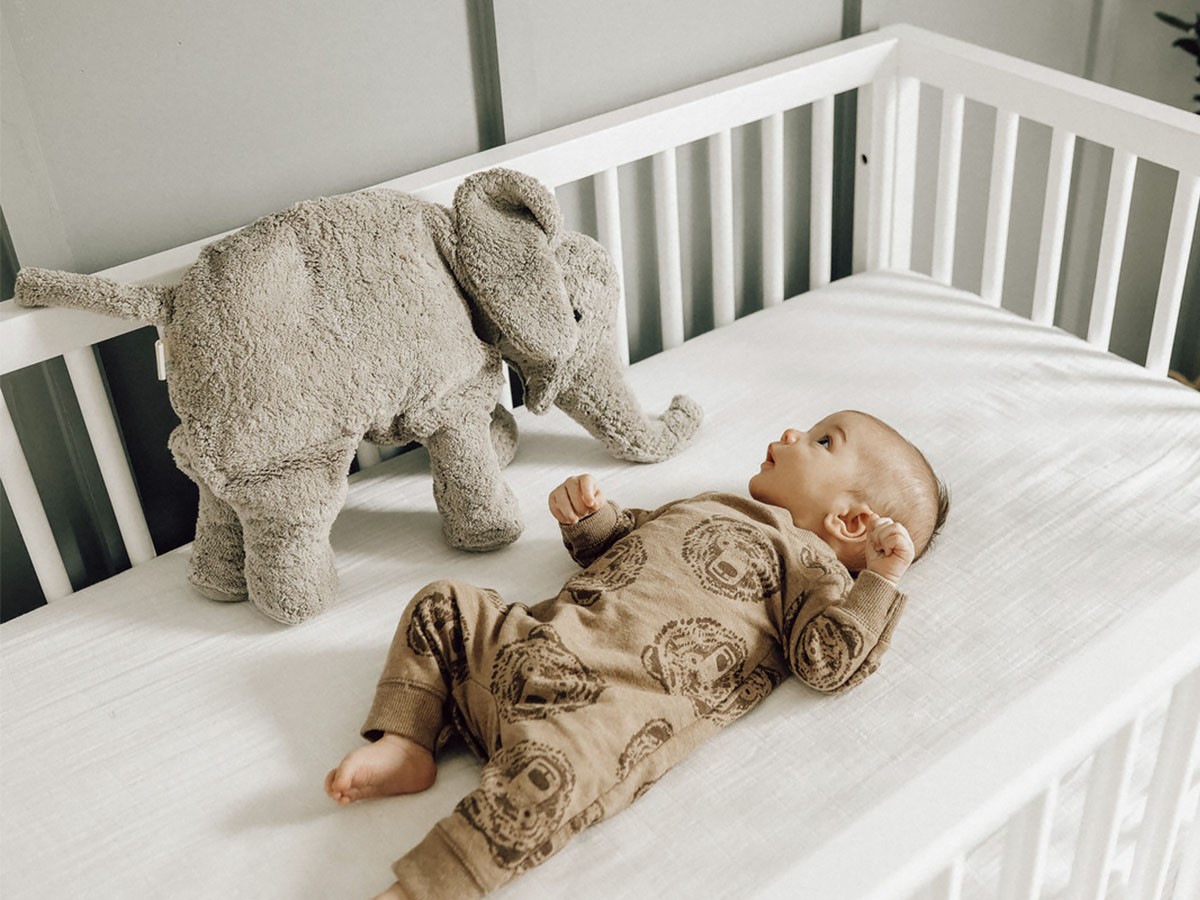 SENGER Naturwelt Cuddly Animal Elephant / ゼンガーナチュウェルト カドリーアニマル エレファント L （キッズ家具・ベビー用品 > おもちゃ・玩具） 2