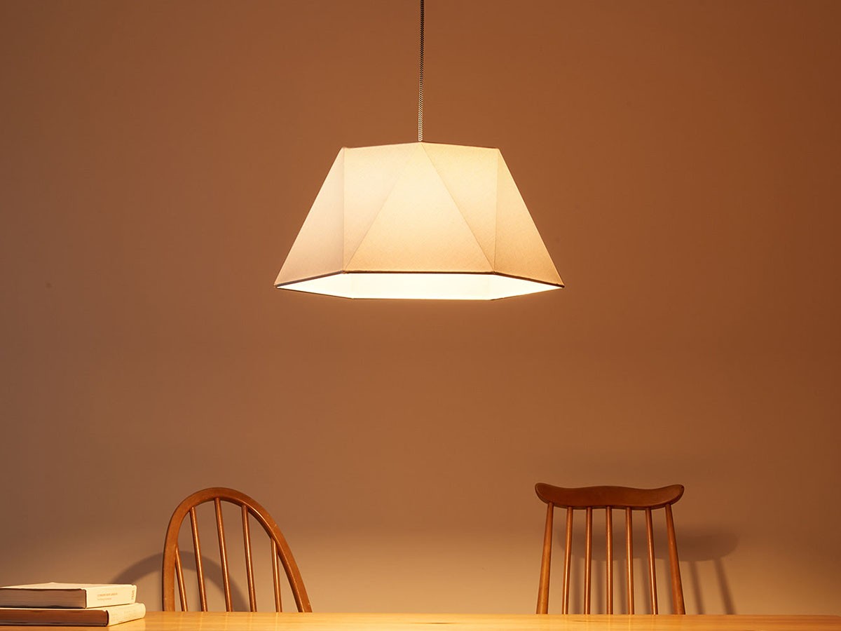 Pendant Light / ペンダントライト #108063 （ライト・照明 > ペンダントライト） 5
