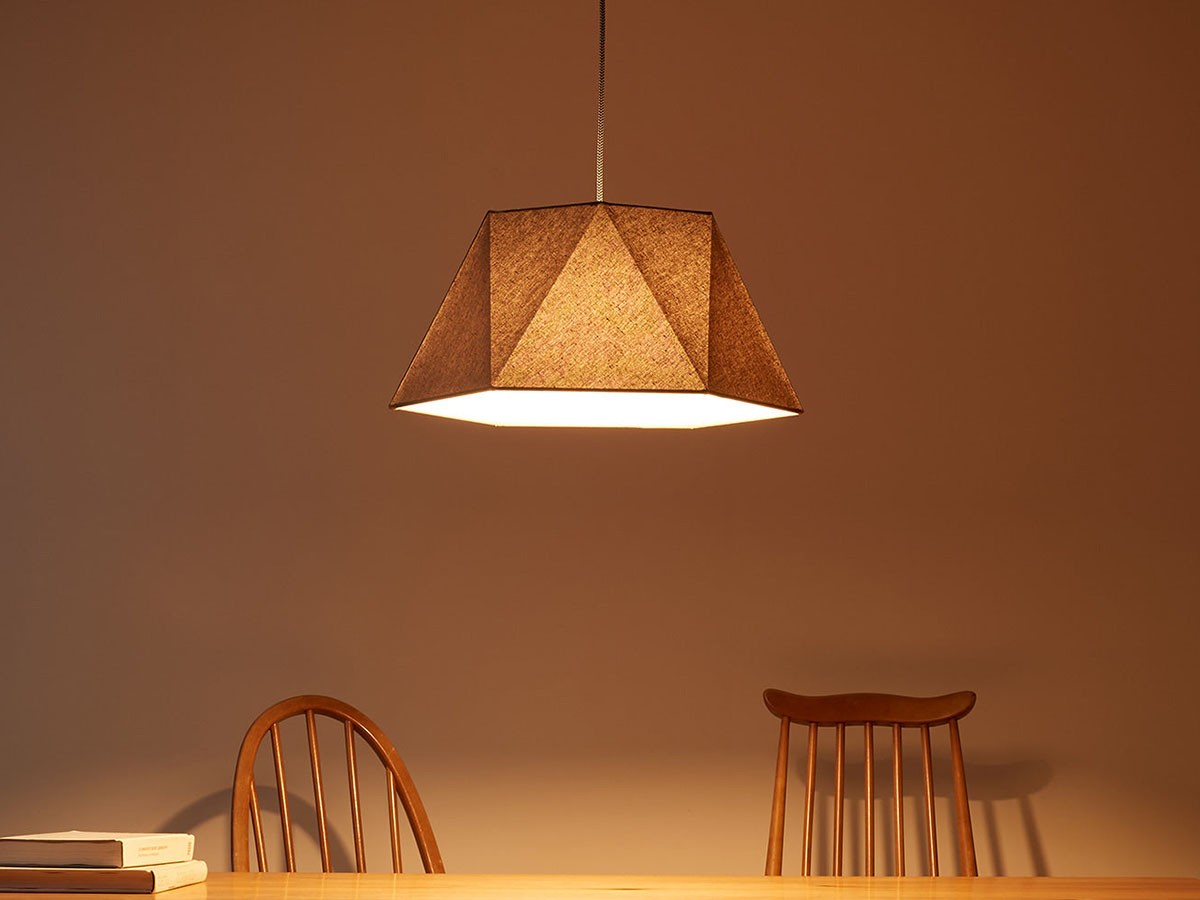 Pendant Light / ペンダントライト #108063 （ライト・照明 > ペンダントライト） 7