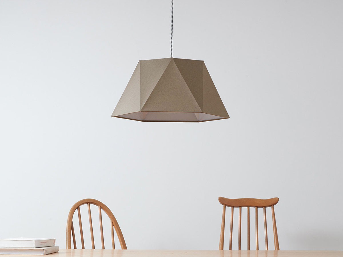 Pendant Light / ペンダントライト #108063 （ライト・照明 > ペンダントライト） 6