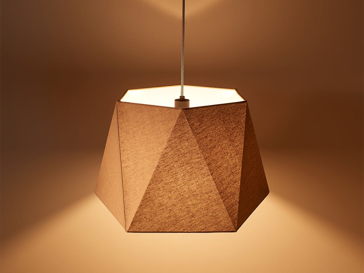 Pendant Light / ペンダントライト #108063 （ライト・照明 > ペンダントライト） 8