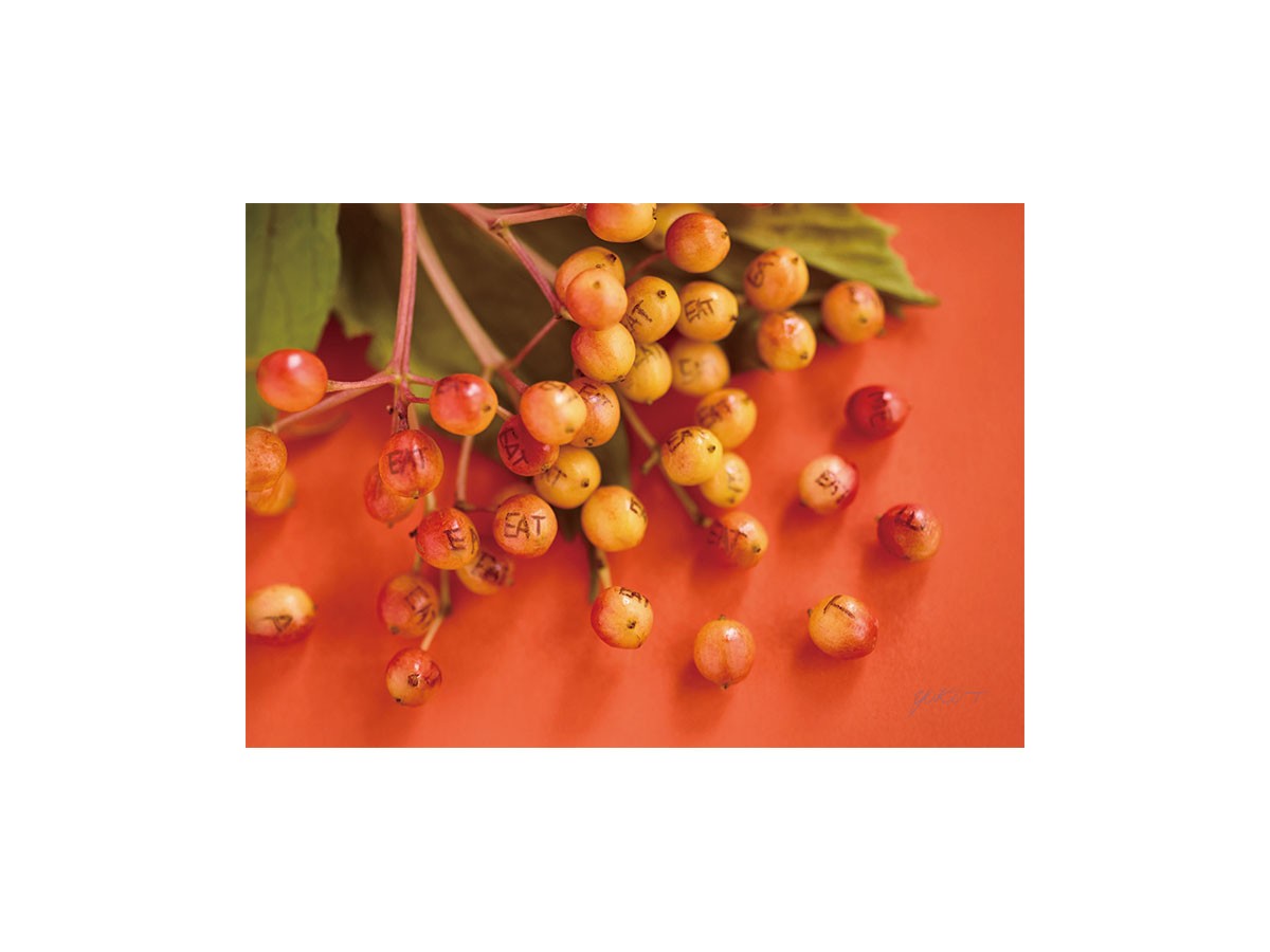 Food inspiered Eat Me