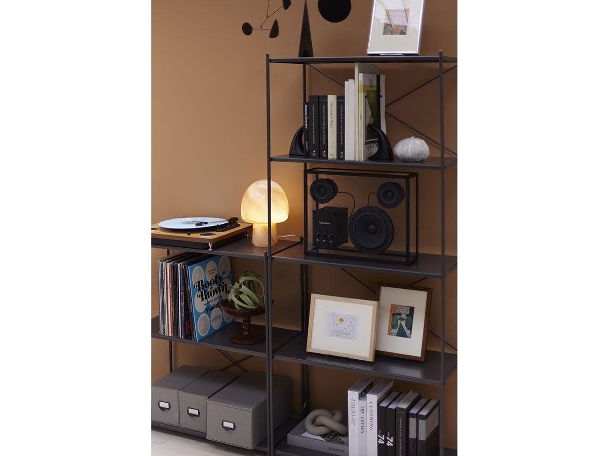 JOURNAL STANDARD FURNITURE HOLTE X SHELF / ジャーナルスタンダードファニチャー ホルテ エックス シェルフ L （収納家具 > ラック・シェルフ） 23