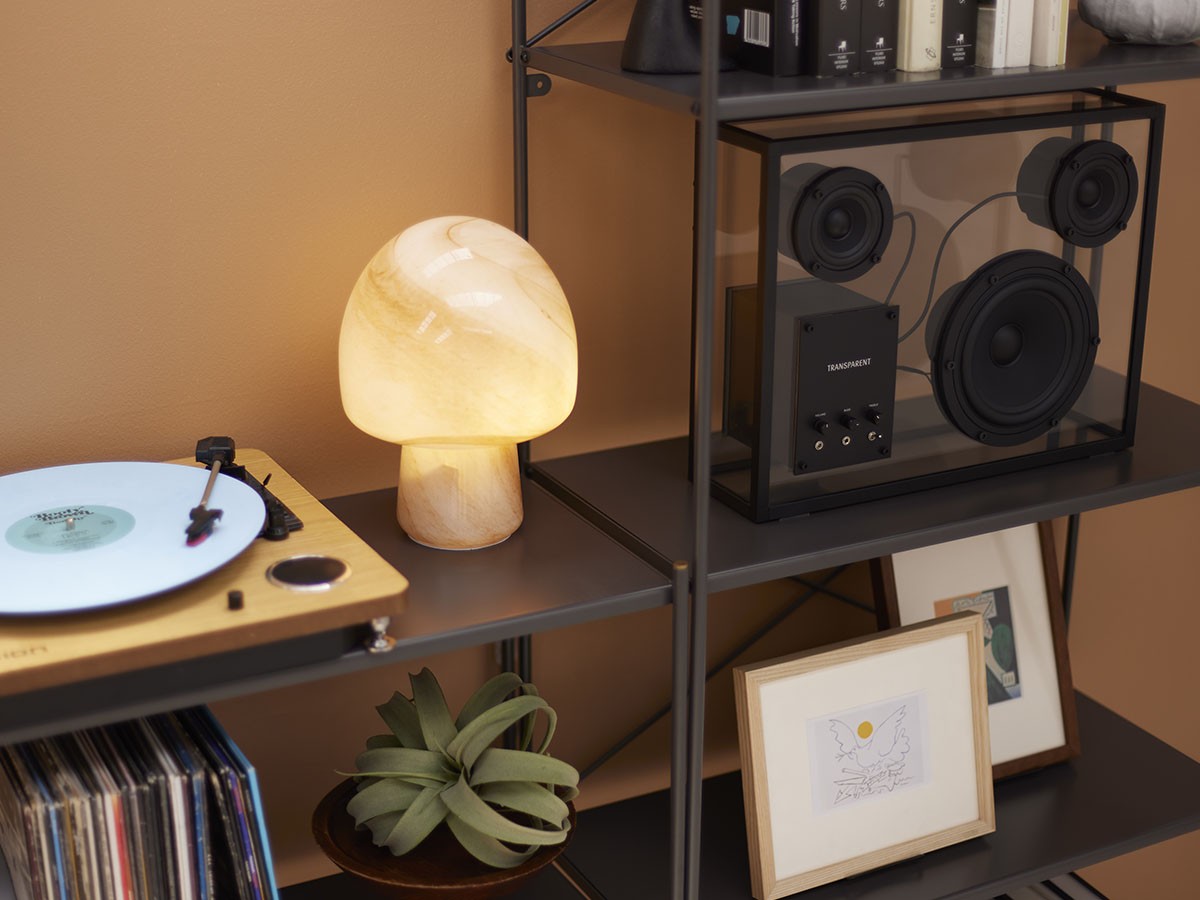 JOURNAL STANDARD FURNITURE HOLTE X SHELF / ジャーナルスタンダードファニチャー ホルテ エックス シェルフ L （収納家具 > ラック・シェルフ） 25