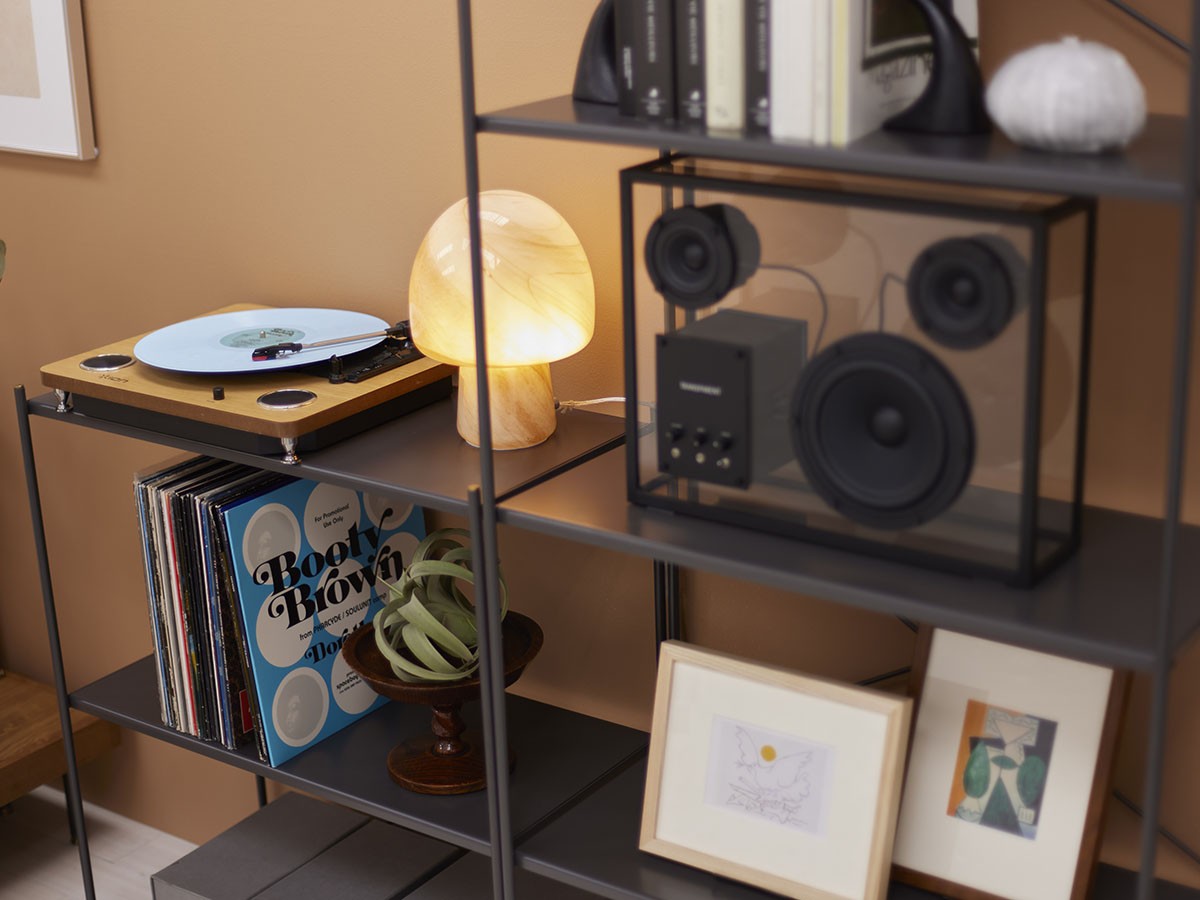 JOURNAL STANDARD FURNITURE HOLTE X SHELF / ジャーナルスタンダードファニチャー ホルテ エックス シェルフ L （収納家具 > ラック・シェルフ） 24