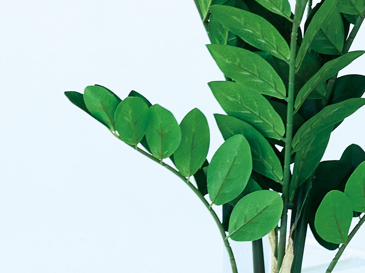 BROWN Zamioculcas Pot / ブラウン ザミオクルカス ポット 70 （花器・プランター・グリーン > フェイクグリーン・フェイクフラワー） 3