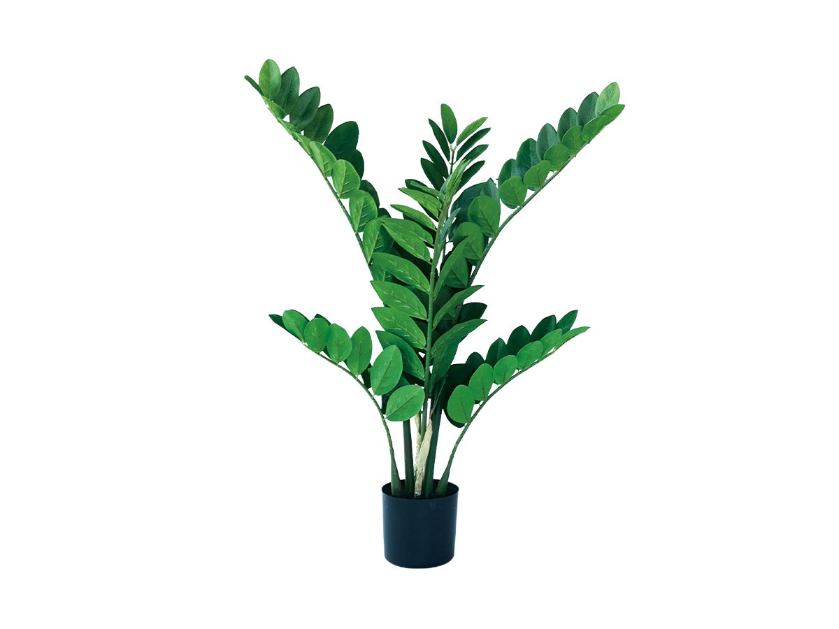BROWN Zamioculcas Pot