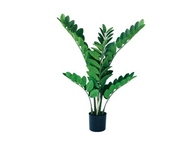 BROWN Yucca Rostrata Pot / ブラウン ユッカ ロストラータ ポット 91