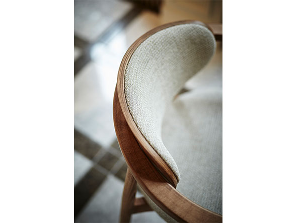 ARM CHAIR / アームチェア n26249 （チェア・椅子 > ダイニングチェア） 5