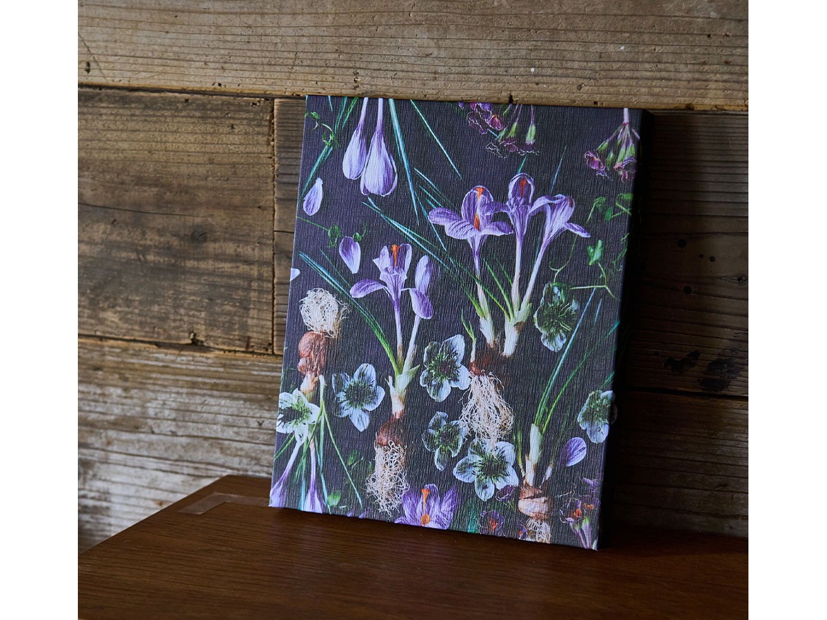 YOKO Takeuchi Botanic Crocus / ヨウコ タケウチ ボタニック クロッカス レクタングルXL （アート・オブジェ > フォトパネル・フォトアート） 3