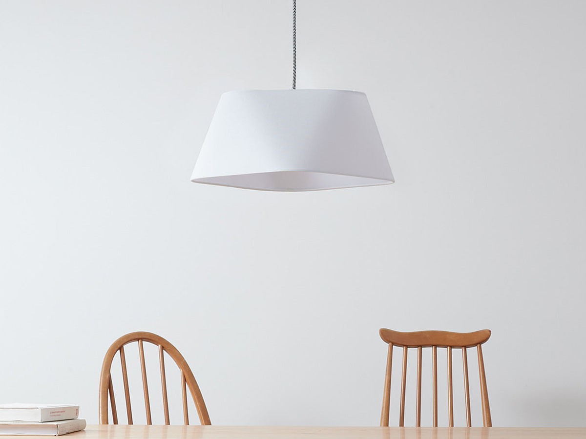 Pendant Light / ペンダントライト #110809 （ライト・照明 > ペンダントライト） 5