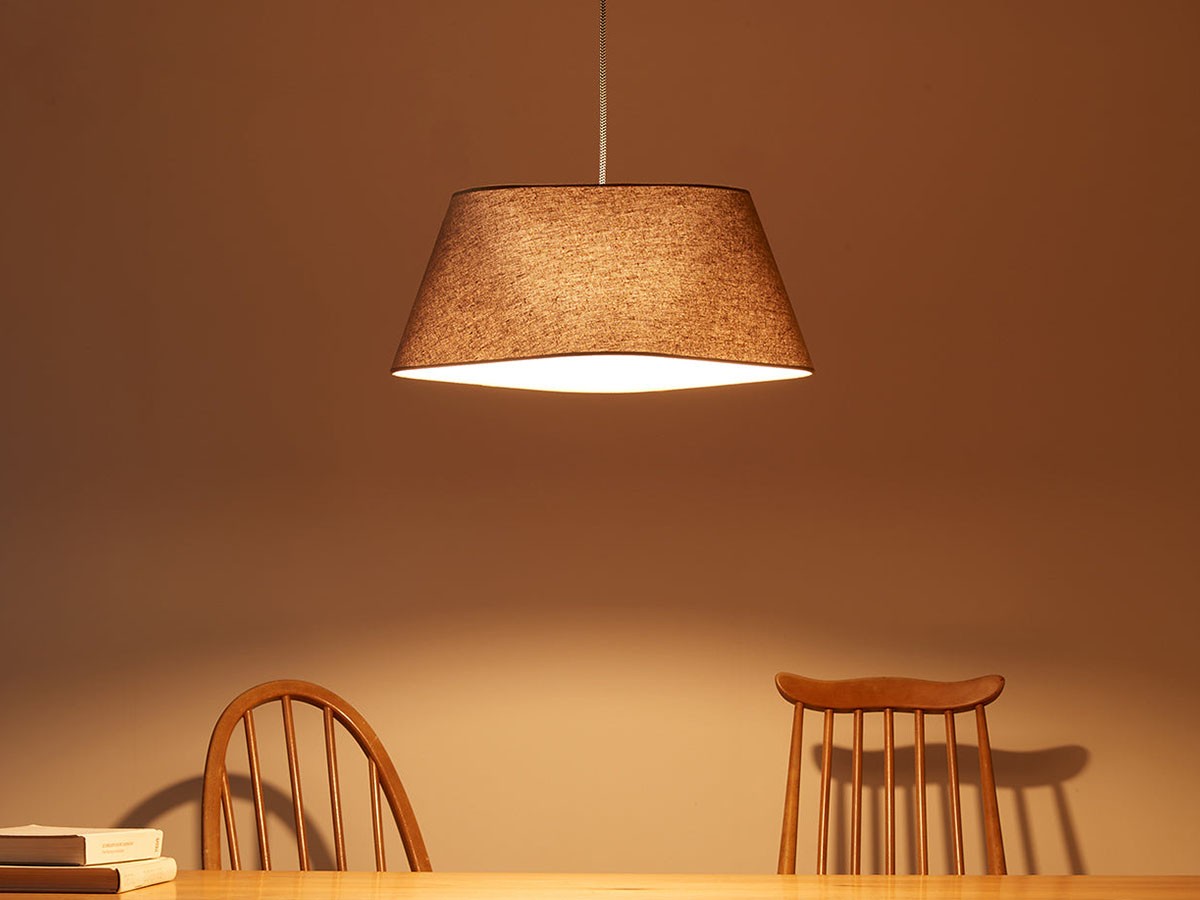 Pendant Light / ペンダントライト #110809 （ライト・照明 > ペンダントライト） 8