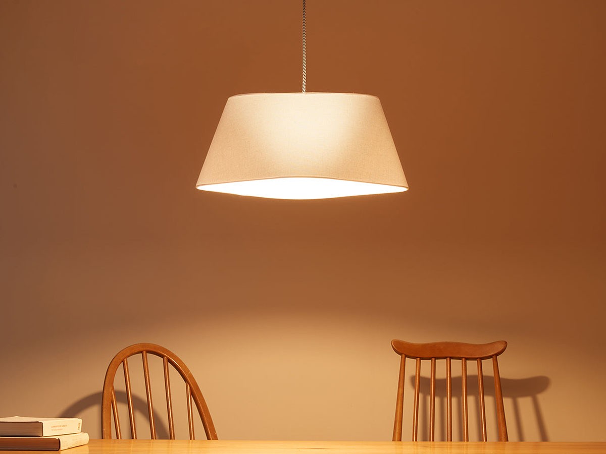 Pendant Light / ペンダントライト #110809 （ライト・照明 > ペンダントライト） 6