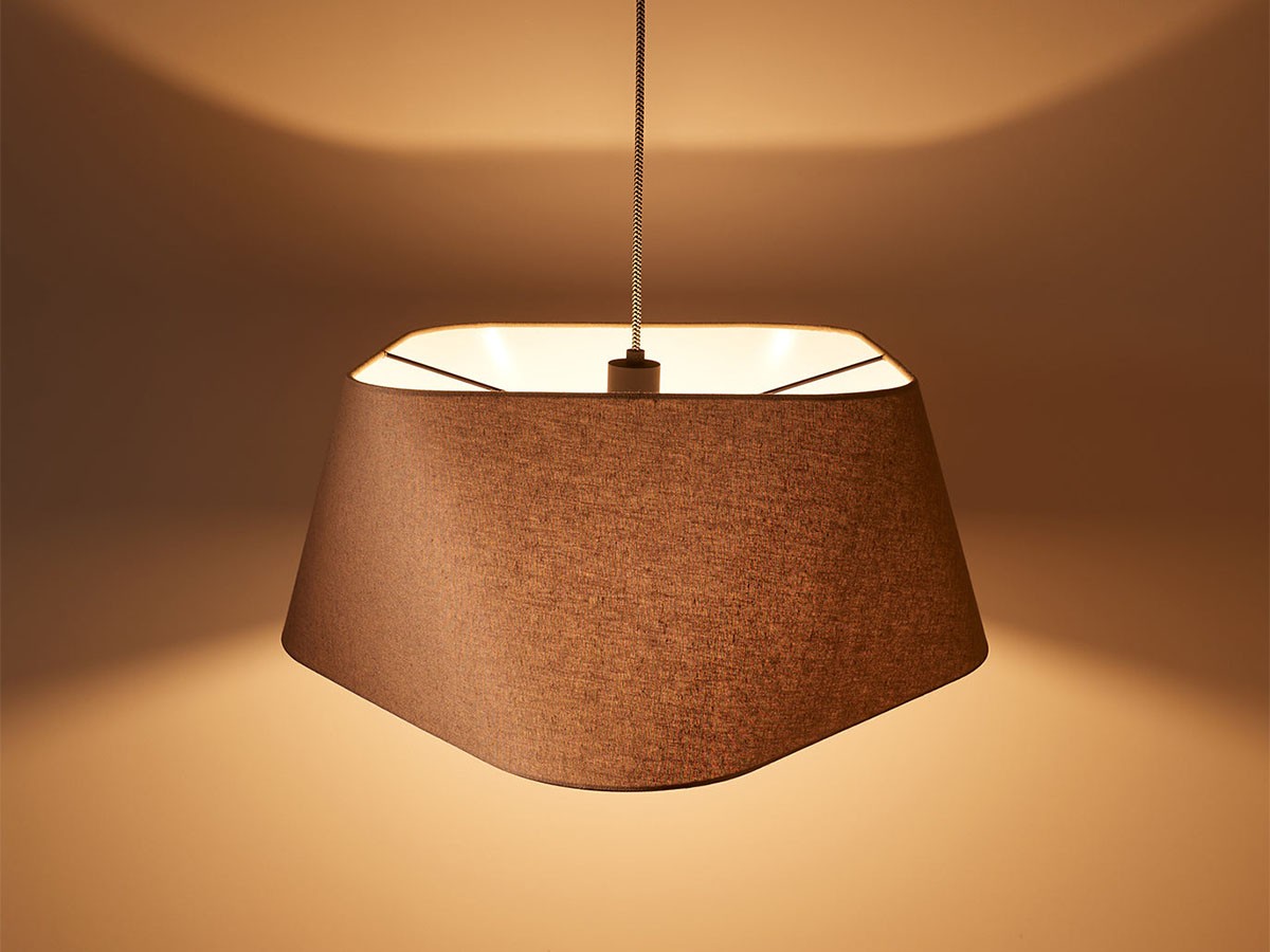 Pendant Light / ペンダントライト #110809 （ライト・照明 > ペンダントライト） 9