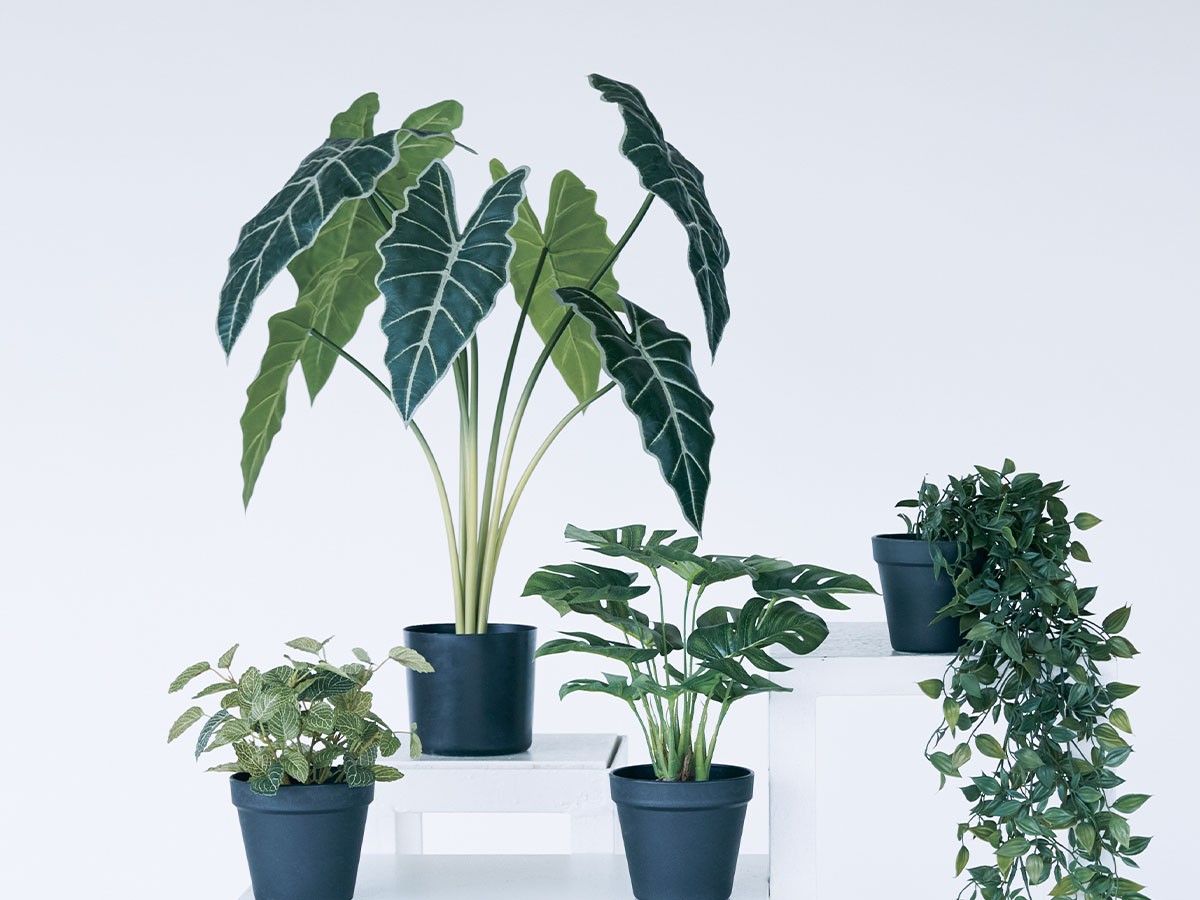 BROWN Alocasia Pot / ブラウン アロカシア ポット 61 （花器・プランター・グリーン > フェイクグリーン・フェイクフラワー） 4