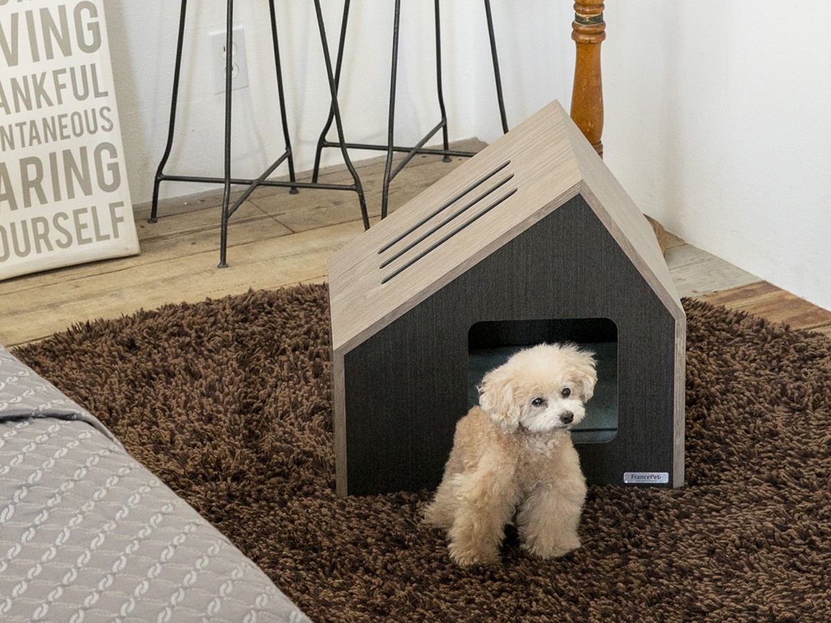 FRANCE PET Pet House Sofita inn / フランスペット ペットハウス