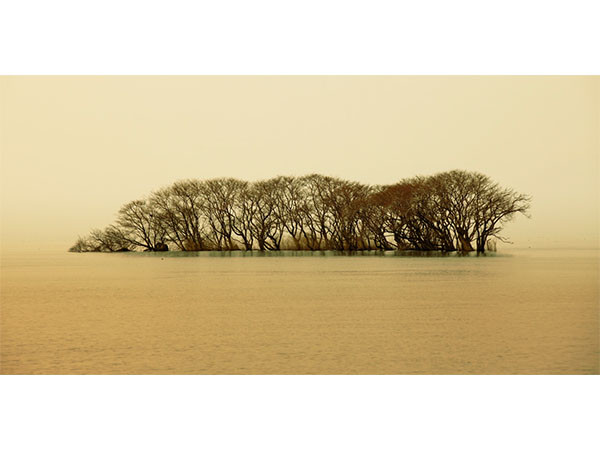 IGREBOW 日本
冬の琵琶湖 / アイグレボゥ 日本
冬の琵琶湖 1 × 2［ J-612-47 ］ （オブジェ・アート > アート） 5