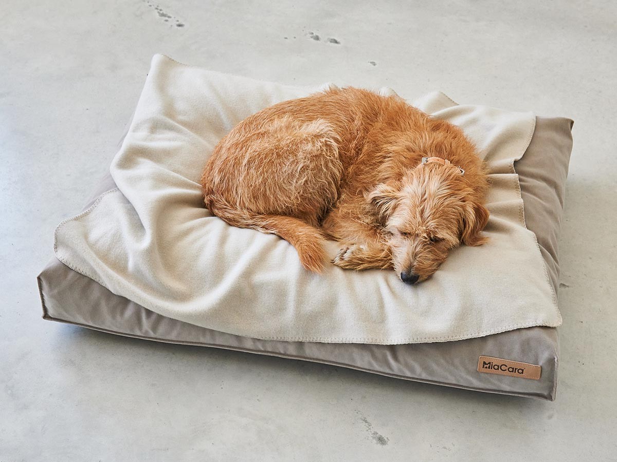 MiaCara Velluto Dog Cushion / ミアカラ ヴェルート ドッグクッション Sサイズ （雑貨・その他インテリア家具 > ペット用品・家具） 6