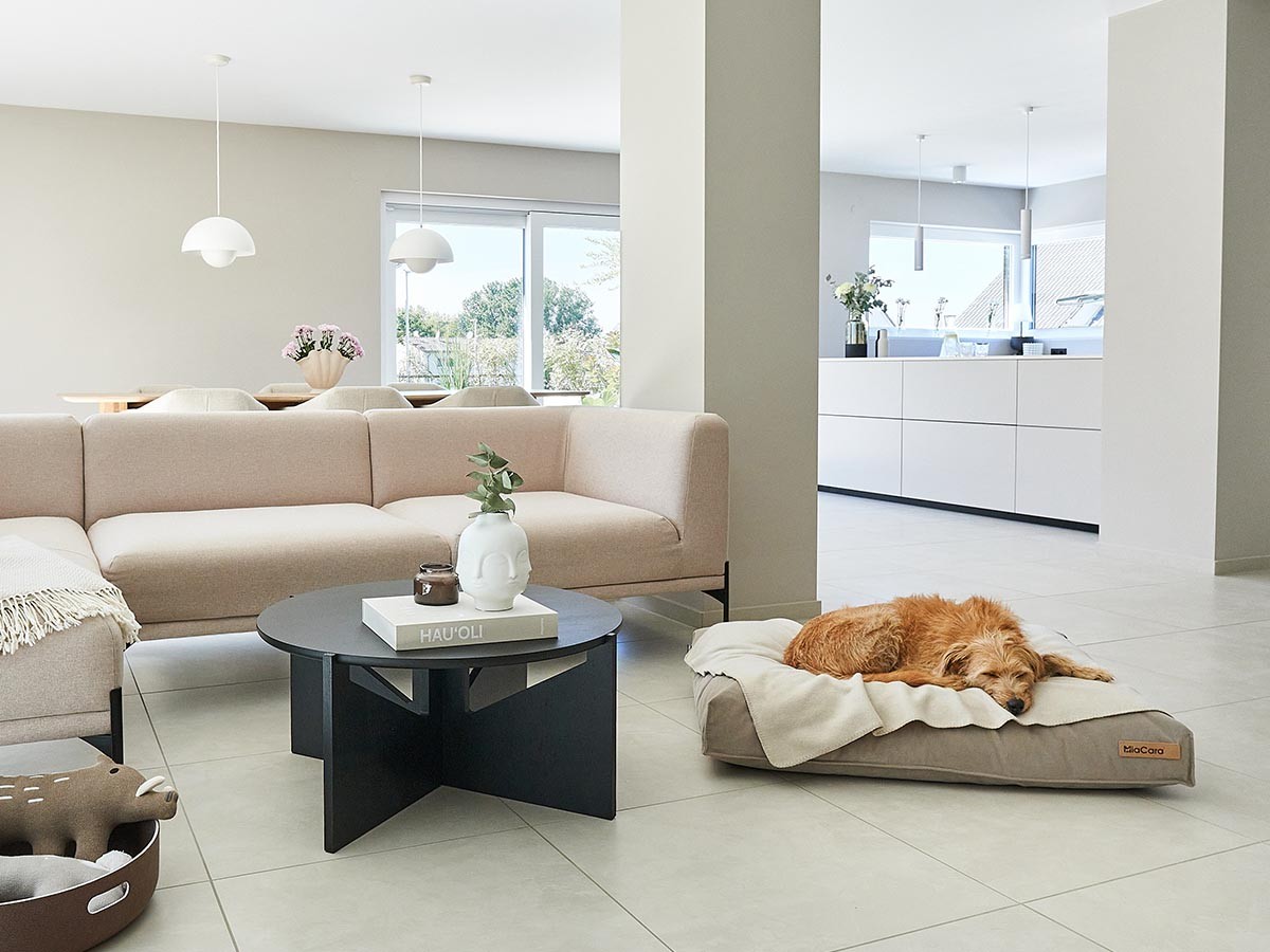 MiaCara Velluto Dog Cushion / ミアカラ ヴェルート ドッグクッション Sサイズ （雑貨・その他インテリア家具 > ペット用品・家具） 3