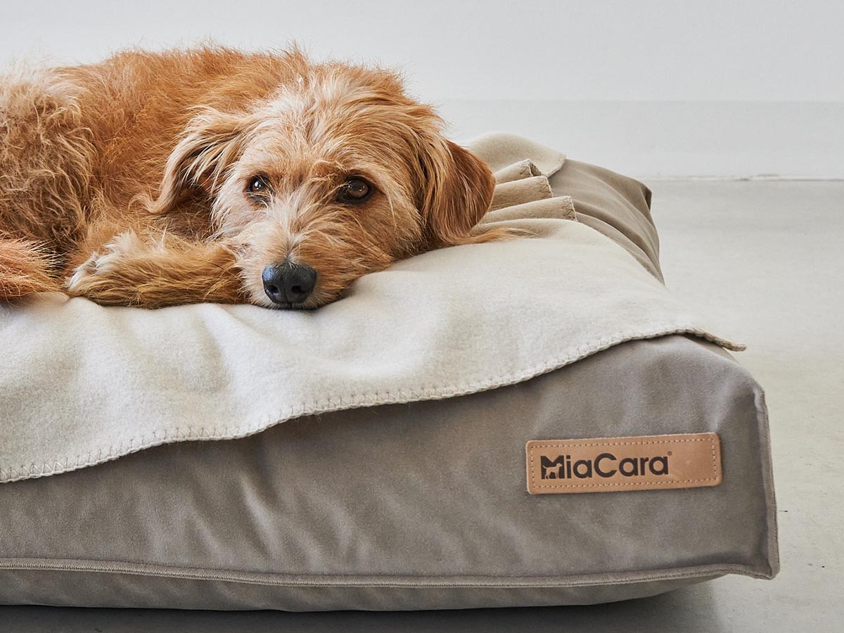 MiaCara Velluto Dog Cushion / ミアカラ ヴェルート ドッグクッション Sサイズ （雑貨・その他インテリア家具 > ペット用品・家具） 9