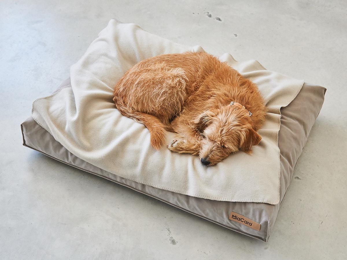 MiaCara Velluto Dog Cushion / ミアカラ ヴェルート ドッグクッション Sサイズ （雑貨・その他インテリア家具 > ペット用品・家具） 7