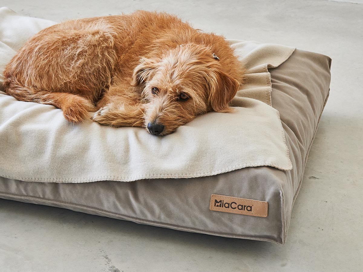 MiaCara Velluto Dog Cushion / ミアカラ ヴェルート ドッグクッション Sサイズ （雑貨・その他インテリア家具 > ペット用品・家具） 10